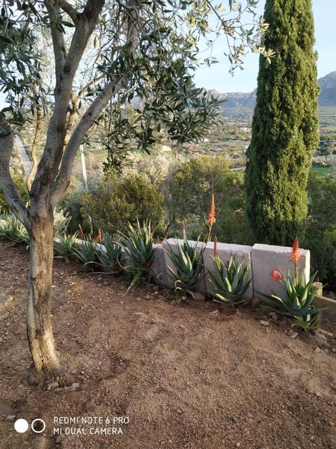 Monolocale Belvedere Su Porto Rotondo Cugnana Kültér fotó